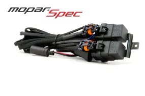 Anti Flicker: Low Beam Harness