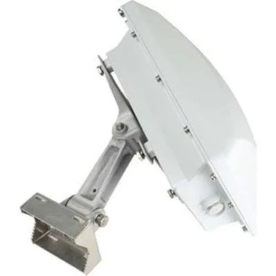 Ruckus Wireless 901-T301-US61 Zoneflex T301-N, 30 Degree Narrow Beam Outdoor