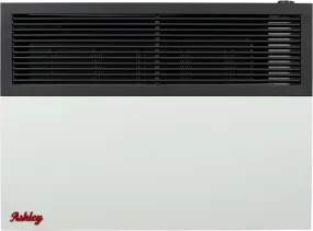US Stove Ashley DVAG17-DF Wall Heater Dual Fuel Direct Vent 570 sq. ft. 17,000 BTU Furnace New